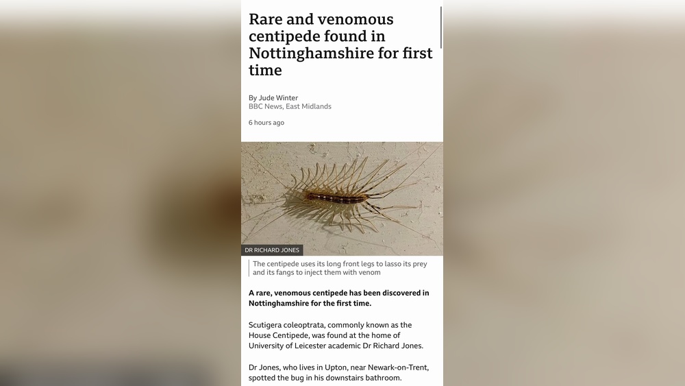 Are House Centipede Poisonous