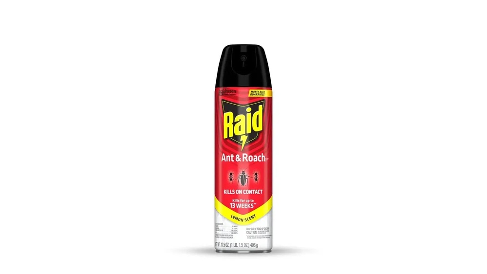 Can Ant And Roach Spray Kill Spiders