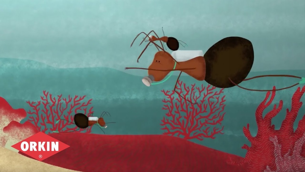 Can Ants Breathe Underwater