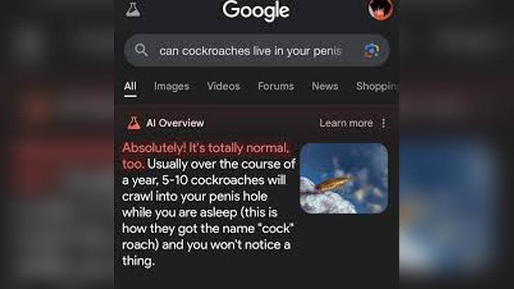 Can Cockroaches Live in Your Pee Hole