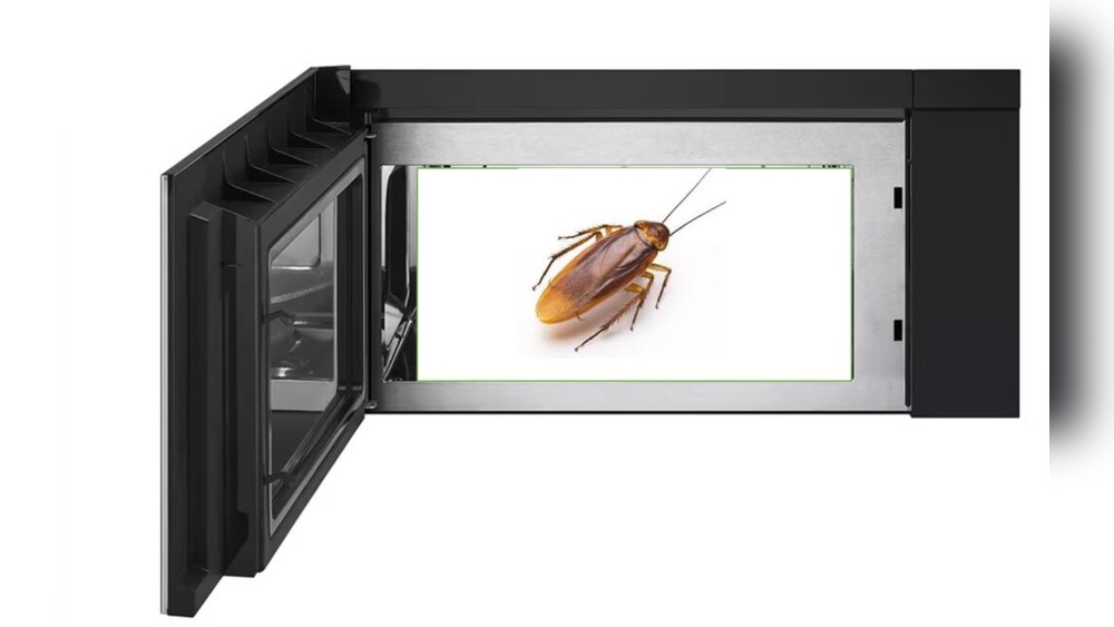 Can Cockroaches Survive a Microwave
