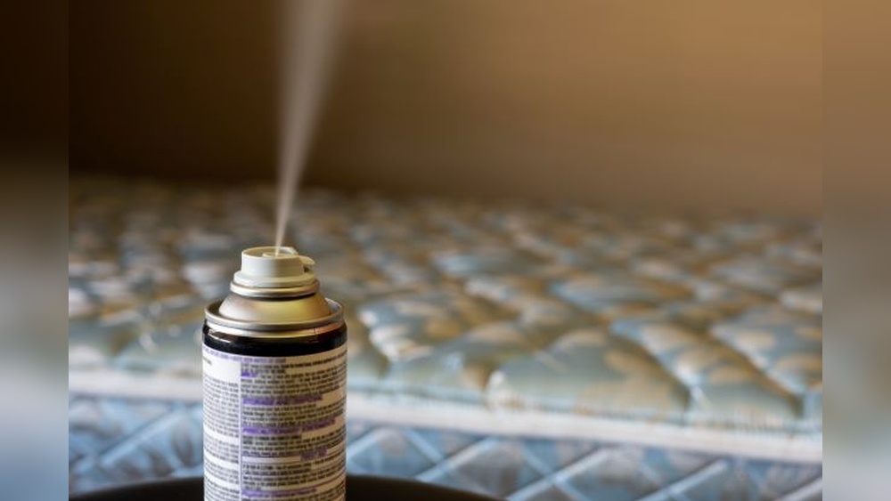 Can Disinfectant Spray Kill Bed Bugs