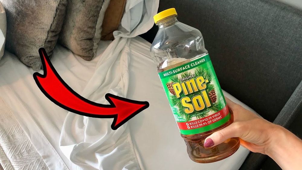 Can Pine Sol Kill Bed Bugs