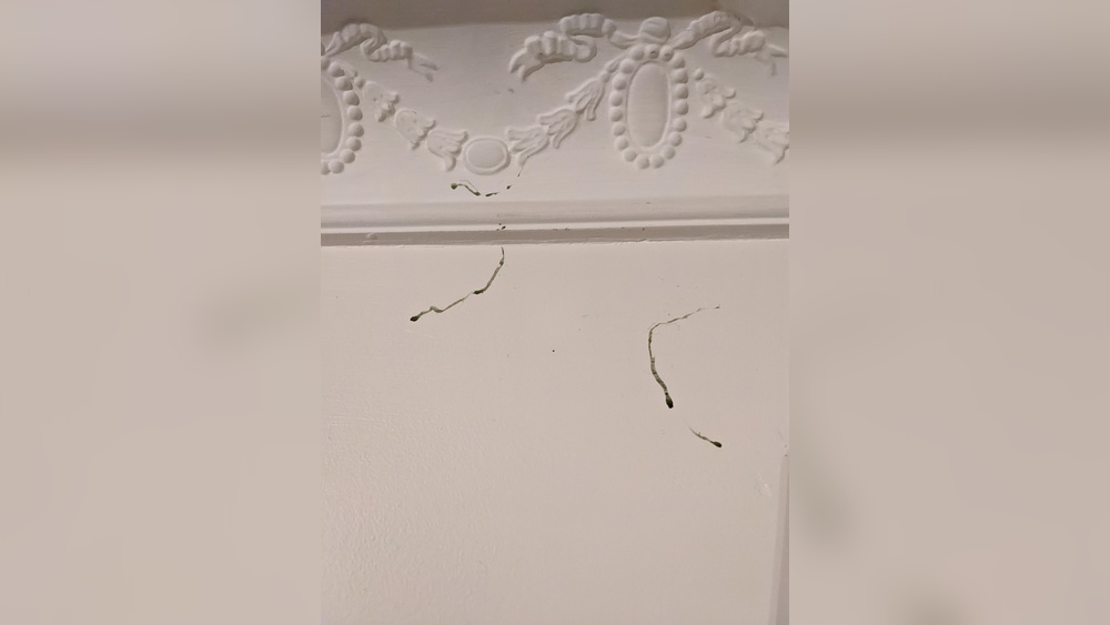 Do Cockroaches Leave a Trail