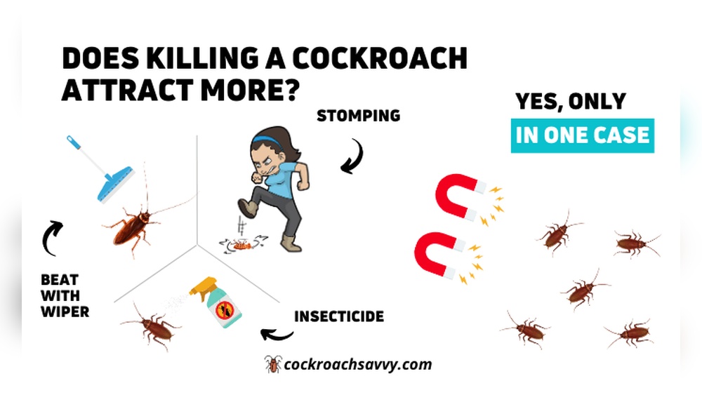 Do Dead Cockroaches Attract More