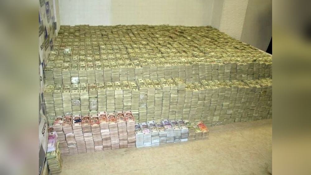 Do Silverfish Eat Money