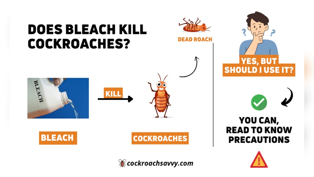Does Bleach Kill Cockroaches