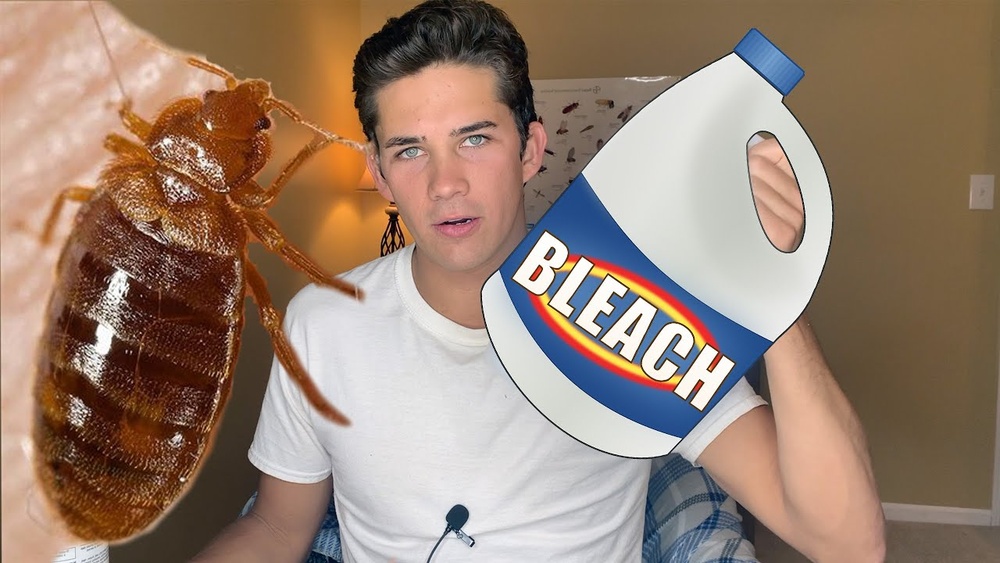 Does Bleach Kills Bed Bugs