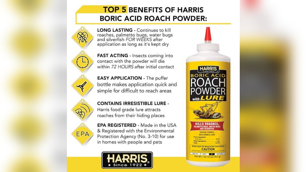 Does Boric Acid Kill Fleas