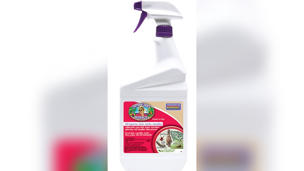 Does Captain Jack'S Deadbug Kill Earwigs