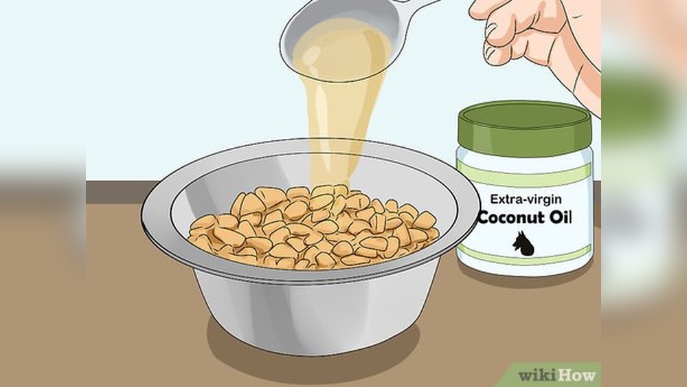 Does Coconut Oil Kill Fleas