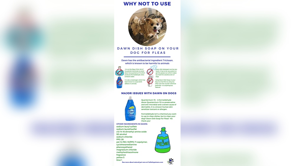 Does Dawn Kill Fleas on Dogs
