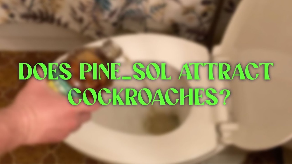 Does Pine Sol Attract Cockroaches