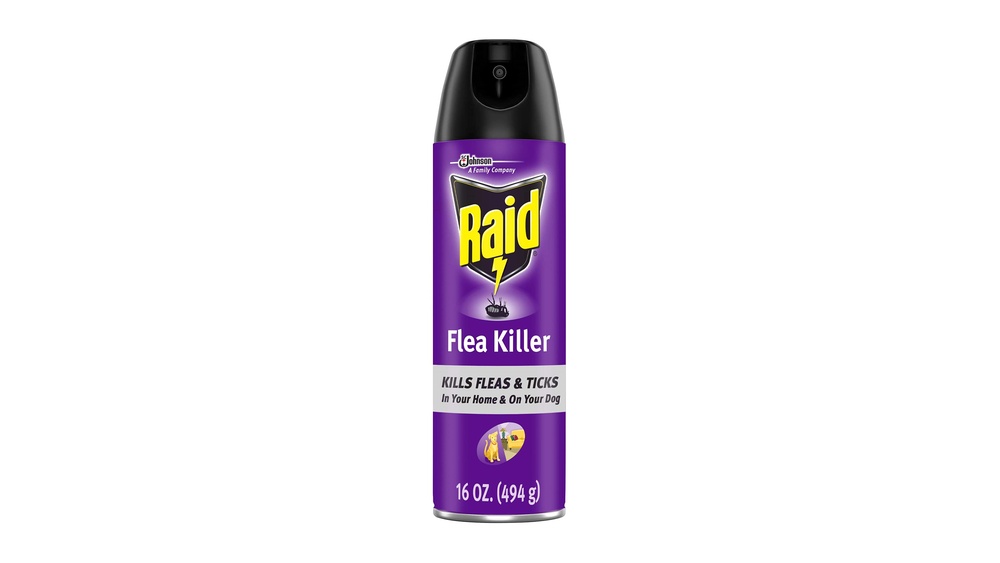 Does Raid Kill Silverfish