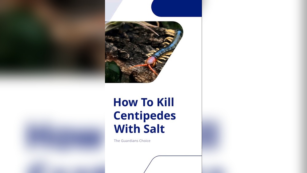 Does Salt Kill Centipedes