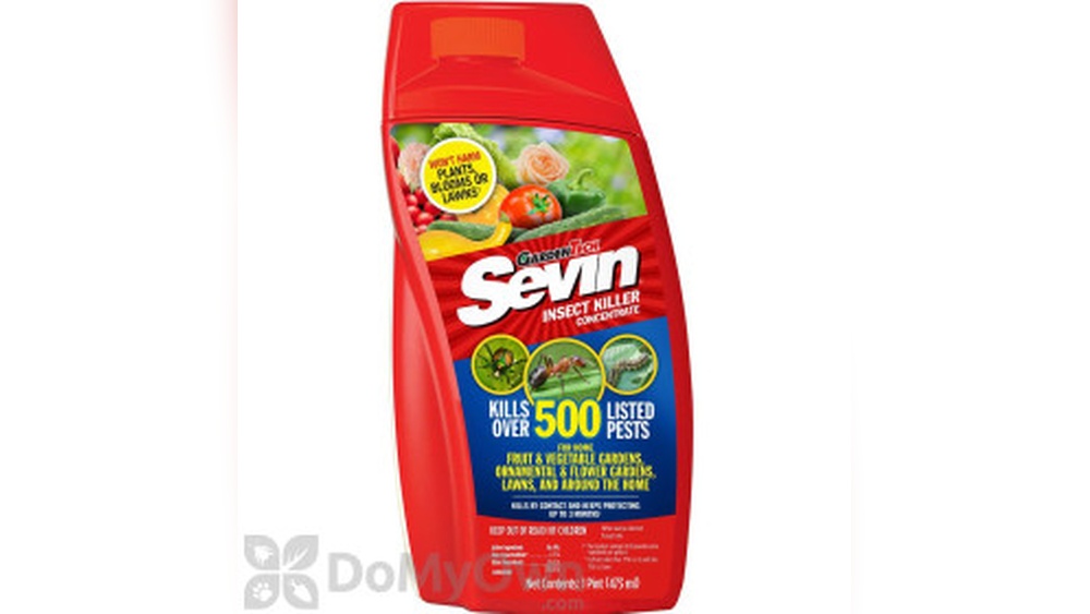 Does Sevin Kill Earwigs