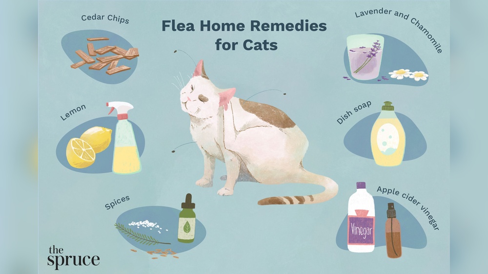 Does Vinegar Kill Fleas