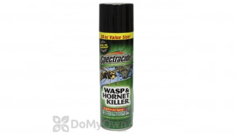 Does Wasp Spray Kill Ants