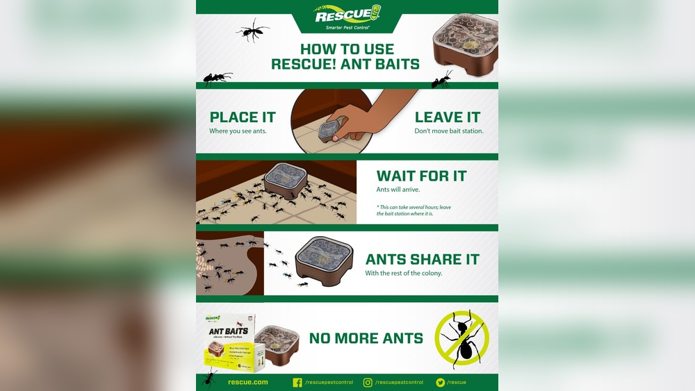 How Do Ant Traps Work