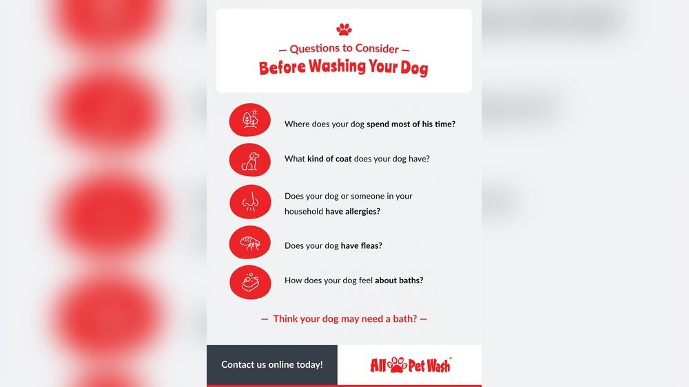 How Long After Flea Treatment Can I Bathe My Dog
