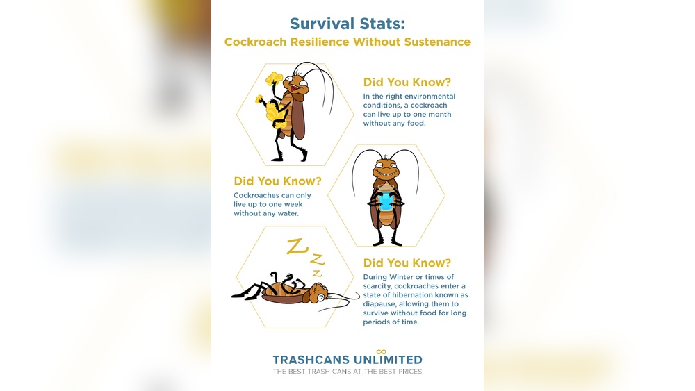 How Long Can a Cockroach Live Without Food