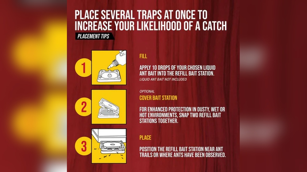 How Long Does Ant Bait Take to Work