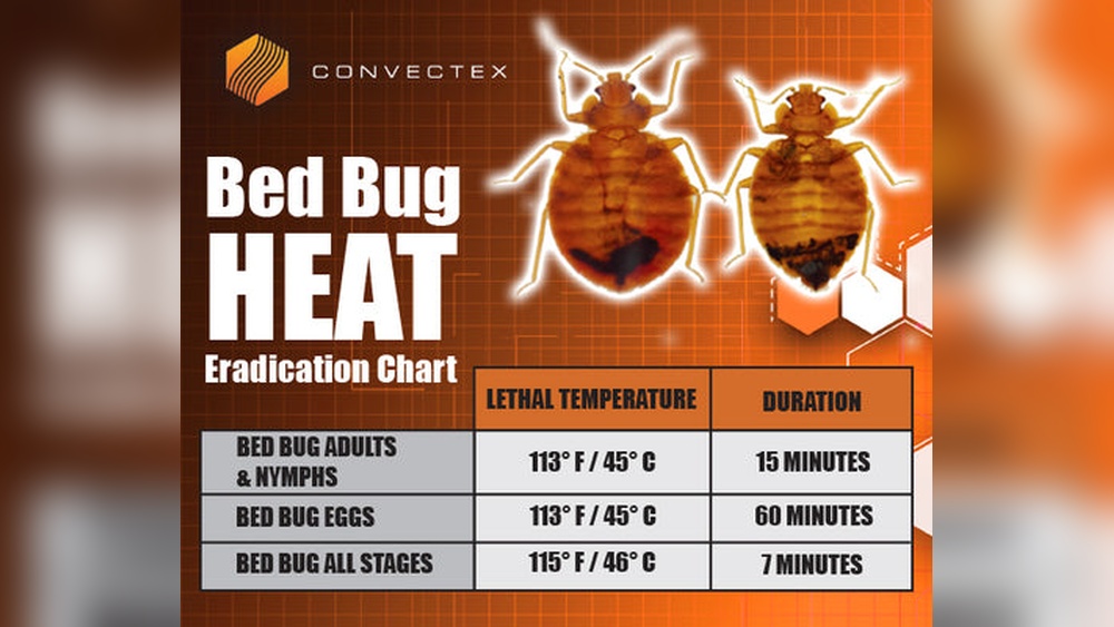 How Long Does It Take for Bed Bugs to Die
