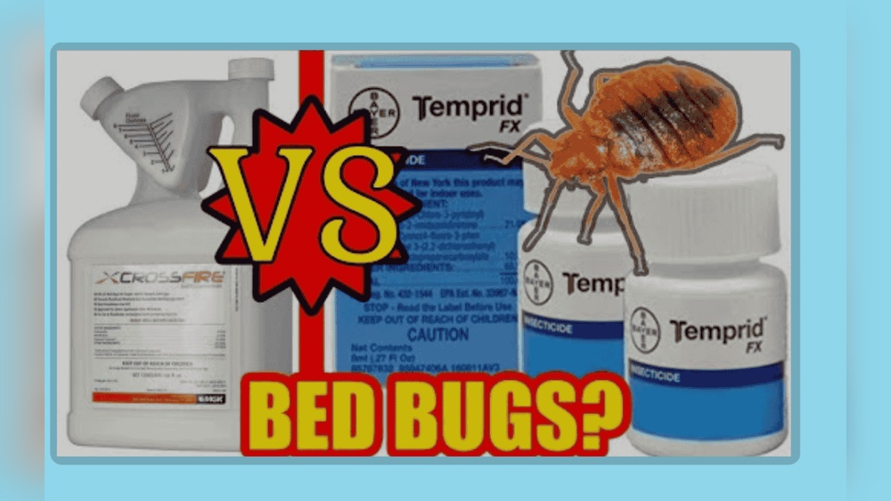 How Long Does Temprid Kill Bed Bugs After Spraying