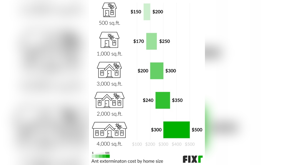 How Much Does It Cost to Exterminate Ants