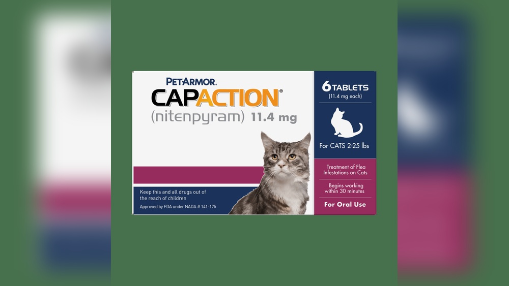 How Soon Can I Give My Cat Another Flea Treatment