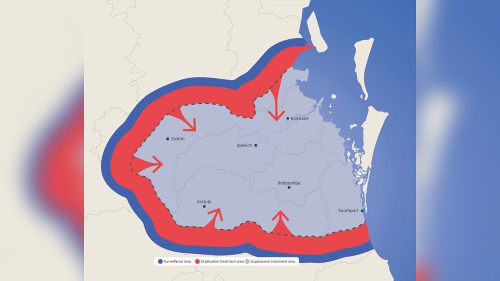 How to Exterminate Fire Ants Outside