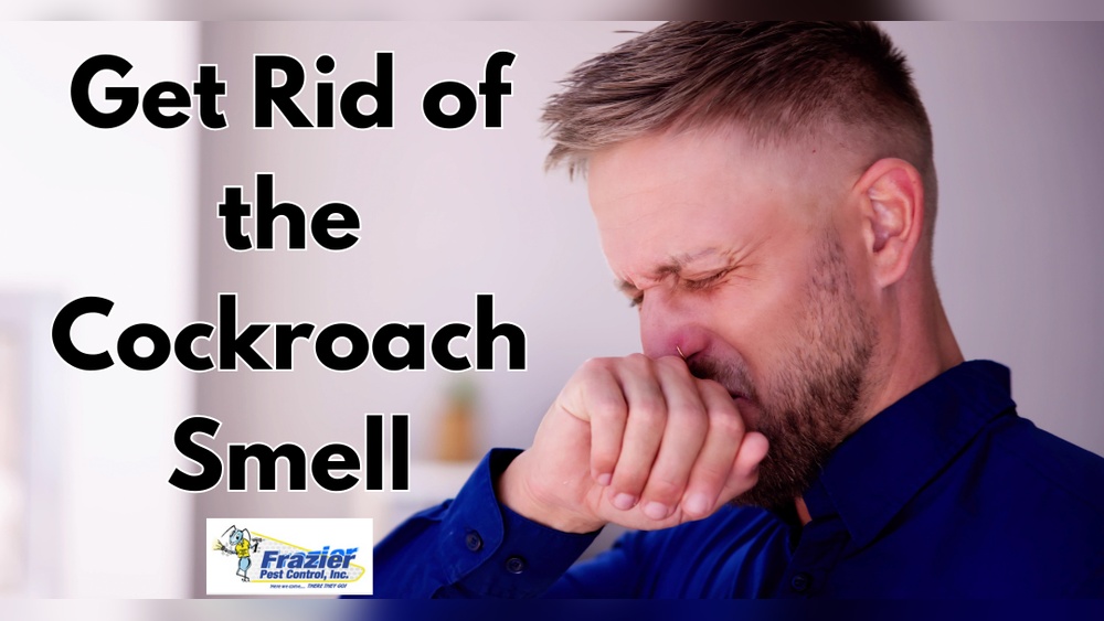 How to Get Rid of Cockroach Smell