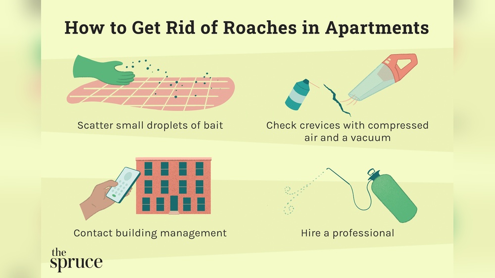 How to Get Rid of Cockroaches in Apartments