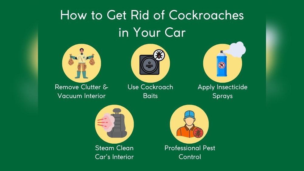 How to Get Rid of Cockroaches in Car