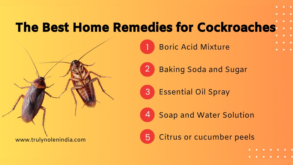 How to Get Rid of Cockroaches in Home Remedies