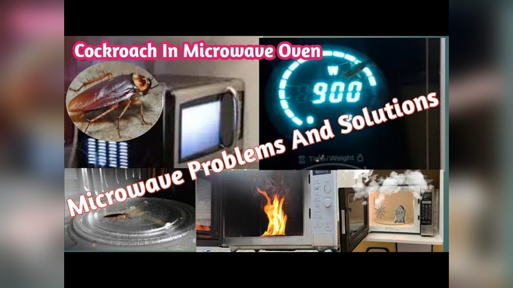 How to Get Rid of Cockroaches in Microwave Oven