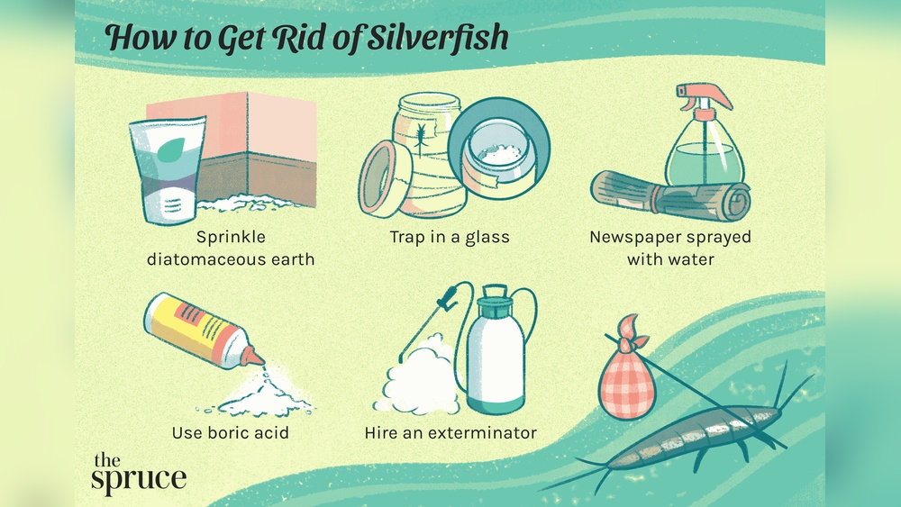How to Get Rid of Silverfish in Your House