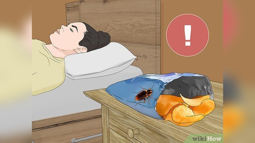 How to Keep Cockroaches Away at Night