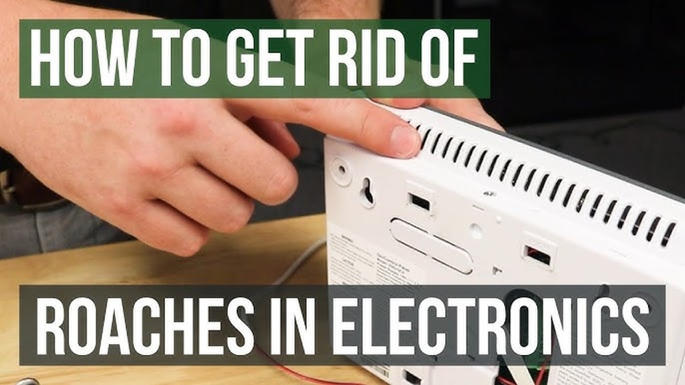 How to Keep Cockroaches Out of Electronics