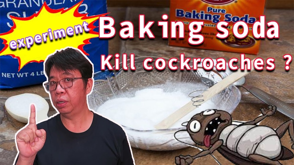How to Kill Cockroach Using Baking Soda