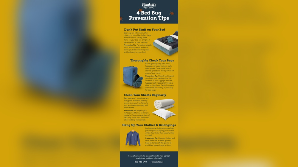 How to Prevent Bed Bugs from Getting on Your Clothes