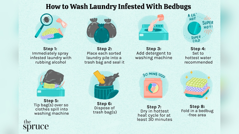 How to Rid of Bed Bugs in Clothes