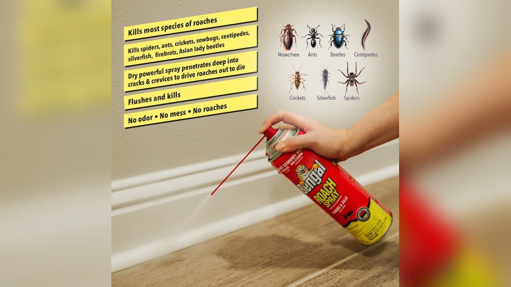 How to Spray for Cockroaches