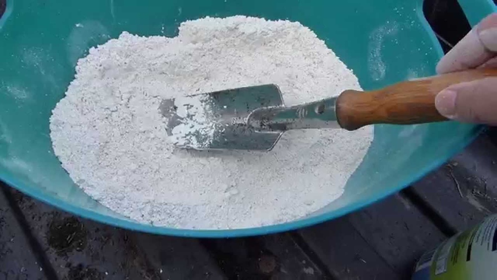 How to Spread Diatomaceous Earth for Ants