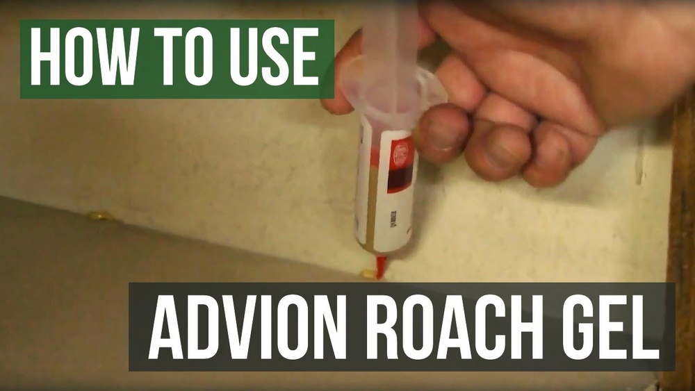 How to Use Advion Cockroach Bait Gel