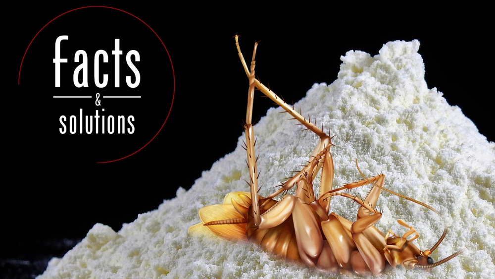 How to Use Diatomaceous Earth for Cockroaches