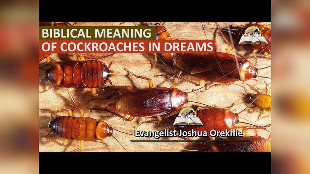 What Do Cockroaches Mean in a Dream