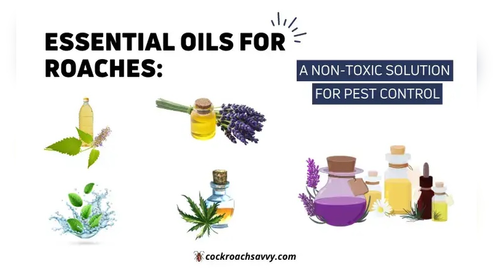 What Essential Oils Get Rid of Cockroaches