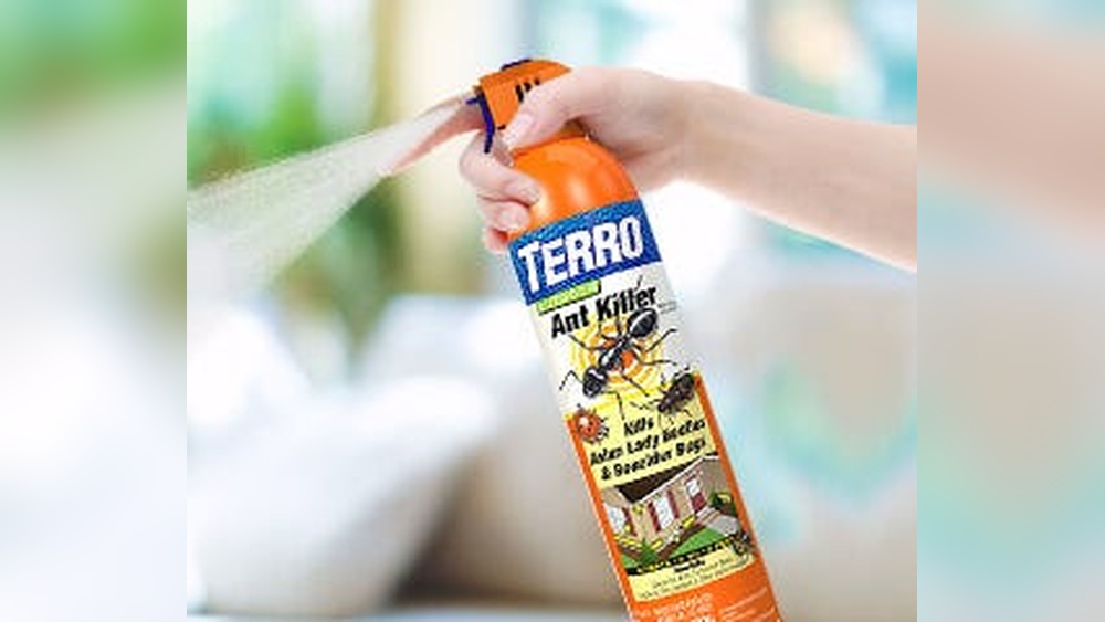 What Spray Kills Ants