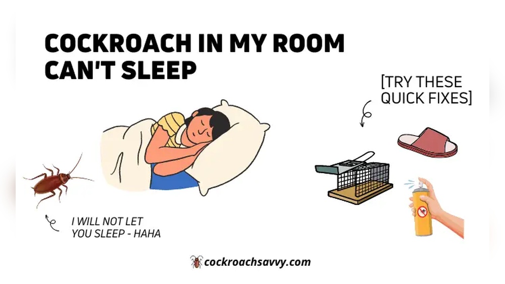 Why are There Cockroaches in My Room
